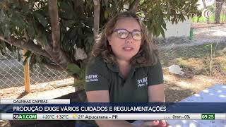 Miniatura do vídeo