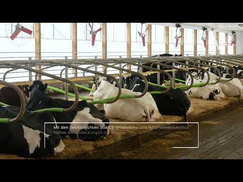 Introducing Promat - German CC