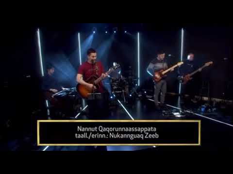 Nannut qaqorunnaassappata (Tulleriit)