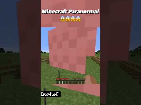 Mind-Bending Paranormal in Minecraft!