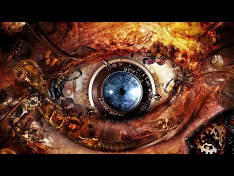 Ordine del Drago - La Struttura