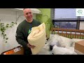 Organic Cotton Pillow Vs Nasty Synthetic Pillow The Ultimate Test Shorter Version