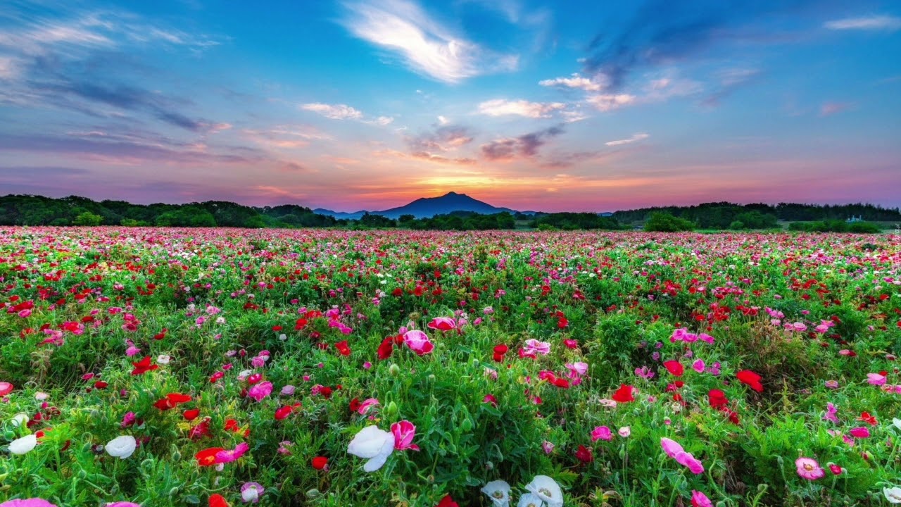 Miłość Twojego Życia