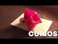 Finding the Curios Golden Ticket Earns Dyson Products