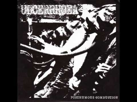 Ulcerrhoea - Destroy All Monsters (Warsore cover)