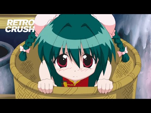 image-What is Nagasarete Airantō?