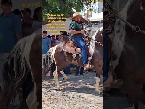 42° FESTA DO TROPEIRO SILVEIRAS SP