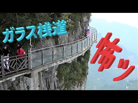 Viagem solo de Wulingyuan II passarela de vidro de 1000 m! ‼ !!!"Parque Florestal Nacional da Montanha Tianmen (Parte 1)" Wulingyuane viajando sozinho!