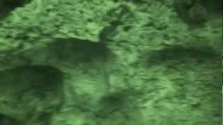 preview picture of video 'watamu grotta dei pipistrelli'