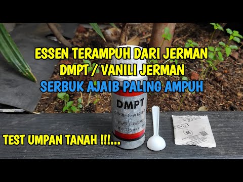 REVIEW AND TEST OF ESSENTIAL DMPT GERMAN VANILLA