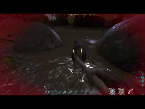 I hate troodon's now