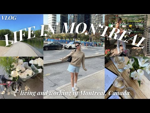 Vivre et travailler à Montréal, au Canada : à quoi ça ressemble VRAIMENT ? 📍 Des jours dans ma vi...