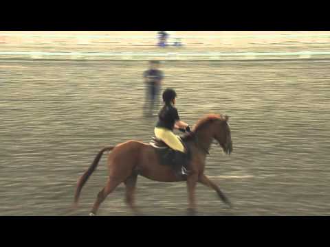 Singapore Turf Club Riding Centre