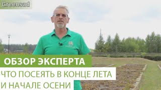 Что можно садить в конце лета - Видео онлайн