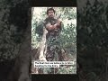 Velupillai Prabhakaran Prabhakaran Veluprabhakaranspeech Seeman