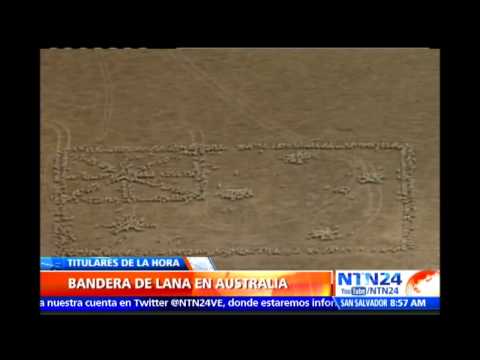 , title : 'Espectáculo animal: cientos de ovejas forman la bandera de Australia para celebrar el día nacional'