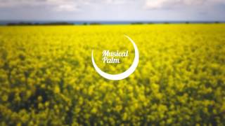 Alan Walker - Faded (Luke Christopher Remix)