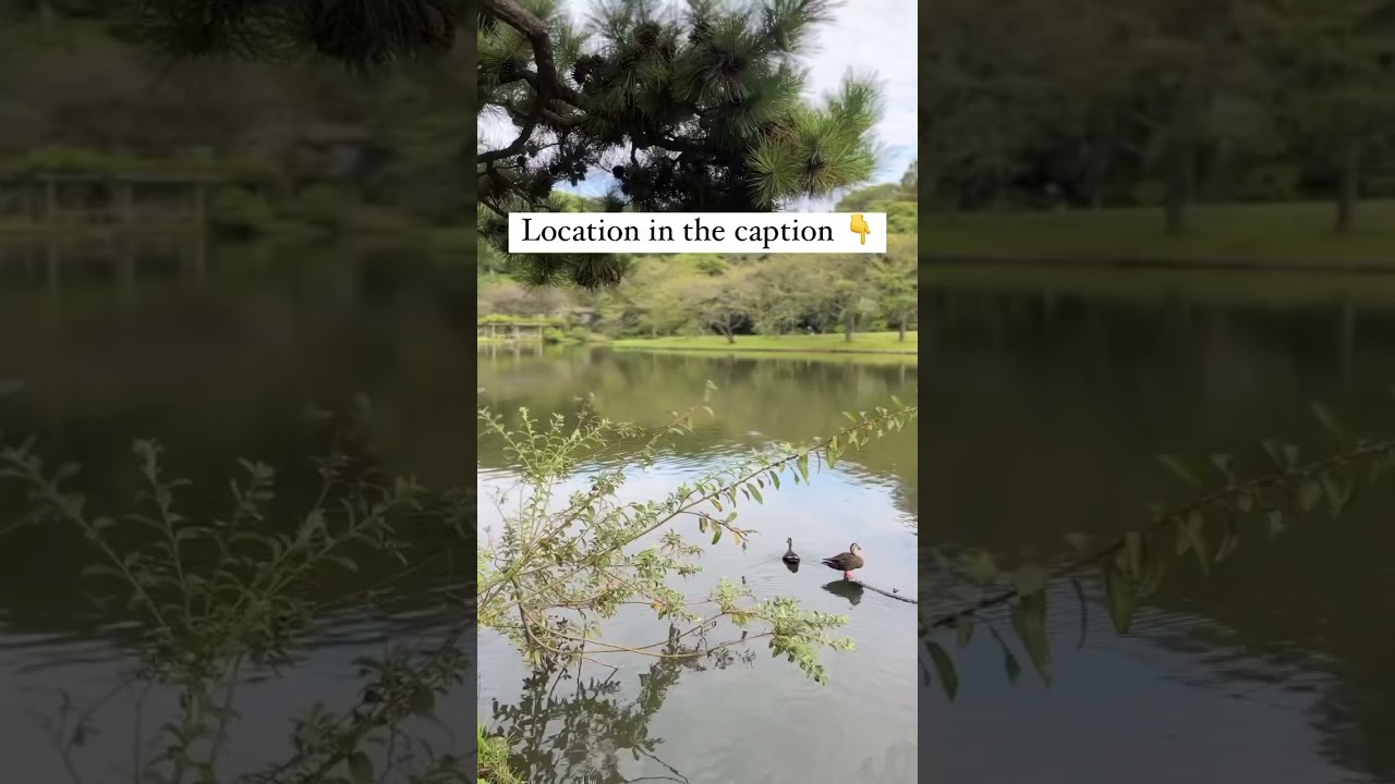 YouTube Short thumbnail