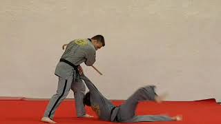 Passage C.N. 3ème DAN de Hugues STEINER