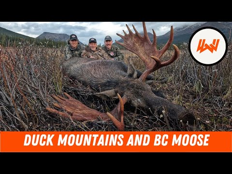 Episode 105 // Fishing Duck Mountain Provincial Park and Hunting Moose in Northern BC