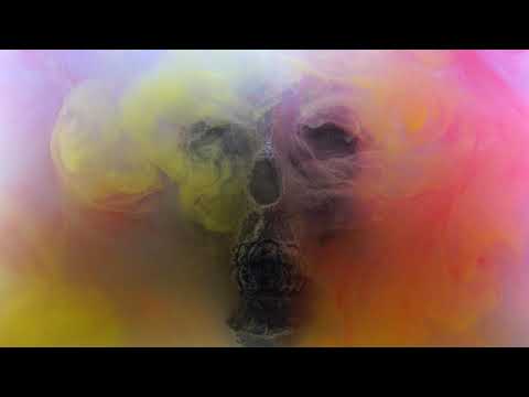 Cioara Alba  - Coco Chanel 💎