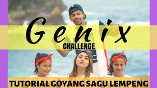 Download lagu TUTORIAL GOYANG SAGU LEMPENG mp3