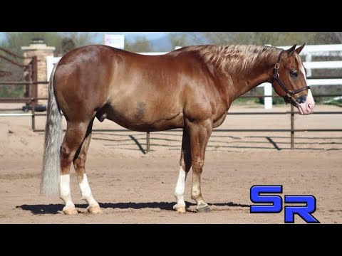 SOLD Gunna Trash Talk (Oscar)