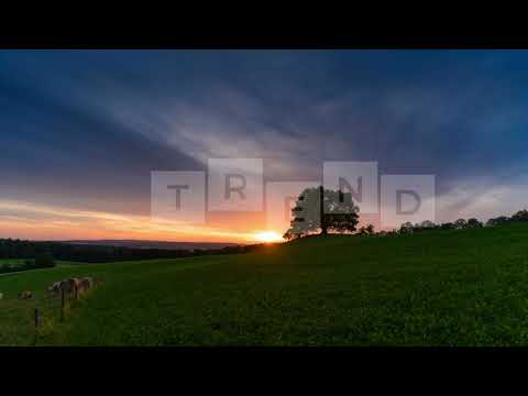 Jimmysquare - Like Apollo