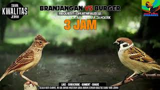 Download lagu Branjangan VS BURGER || Masteran Mewah. 3 jam jeda 2 menit mp3