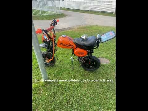 Manki projekti 2025 oranssimusta