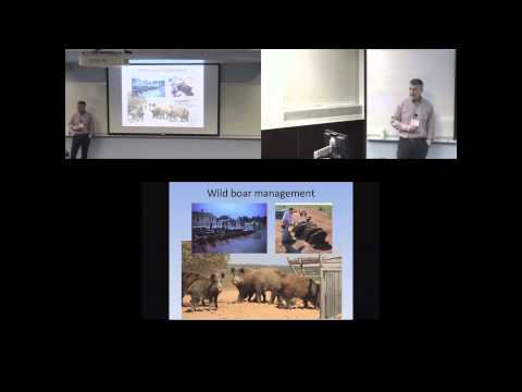 (Modeling) wildlife and livestock disease - the European perspective