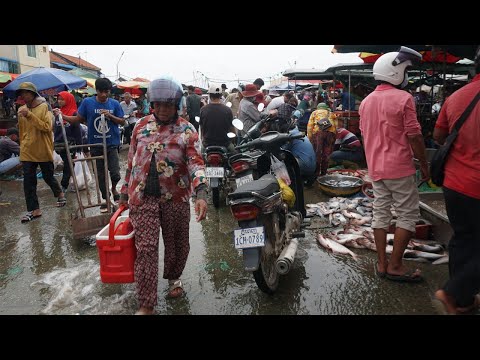 Amazing Site Distribute Fish, Seafood  - Daily Lifestyle & Activities of Vendors Selling Alive Fish