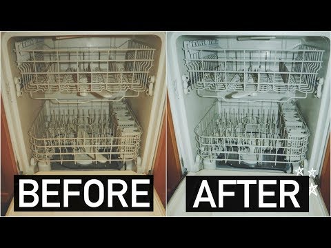 How to clean dishwasher