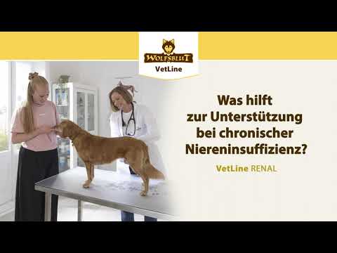 VetLine RENAL / Was hilft zur Unterstützung bei chronischer Niereninsuffizienz bei Hunden?