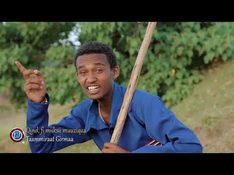 Haftaamuu Faanaa new oromoo music 2013
