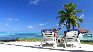 Couple on Beach Holding Hands on Vacation Palm Tree Sand Resort HD Video Scene Background
