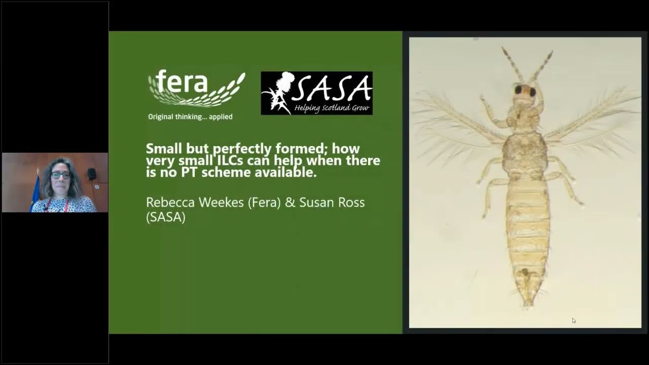 2.9 Small but perfectly formed; how very small ILCs can help when there is no PT scheme available