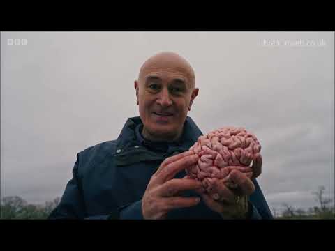 BBC Secrets of the Brain - Jim Al-Khalili - Series 1 Episode 1 (2025) Full Episode / Documentary HD