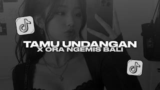 Download lagu DJ TAMU UNDANGAN X ORA NGEMIS BALI TREND TIKTOK 2026 STYLE TANTE V2  | FASIP FVNKY mp3