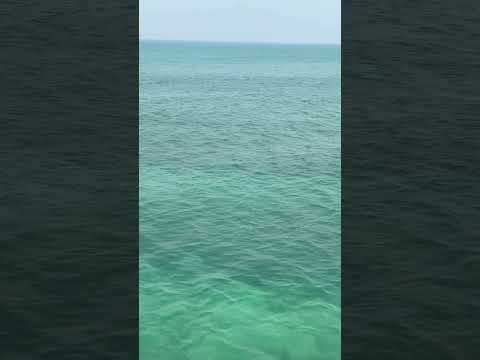 #کیش#تابستون #دریای خلیج فارس # ساحل مرجان خلیج تا ابد فارس