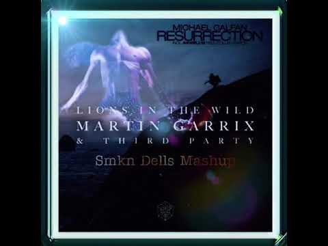 Lions In The Wild (Martin Garrix & Third Party) VS Resurrection (Michael Calfan) [Smkn Dells Mashup]