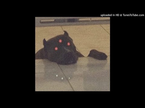 [FREE] SWERZIE / KAMIYADA / 83 HADES / RONNY J TYPE BEAT "SONIC" (PROD.PVDILLA)