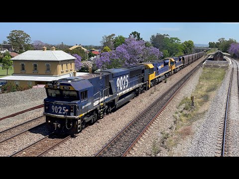 Pacific National 9025, LDP003 & LDP005 at East Maitland - 14/11/23