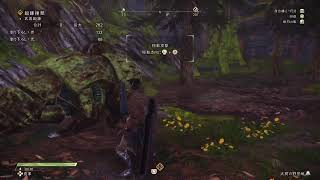 WILD HEARTSワイルドハーツ