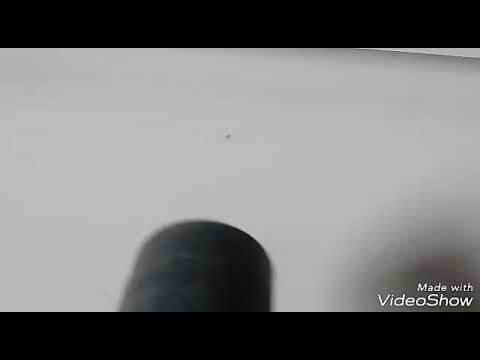 Formiga resiste o aspirador de pó.