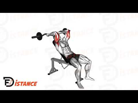 Exercice Extensions triceps derrière la tête sur banc incliné (magic triceps)