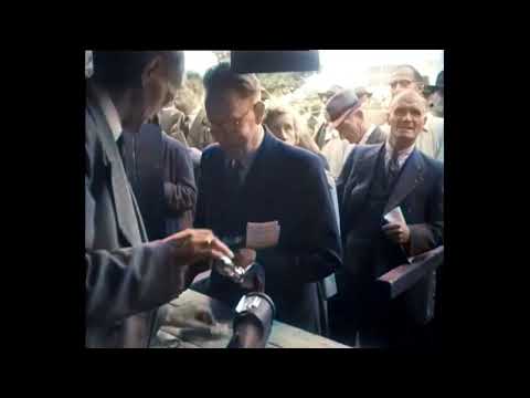 Dutch Traditions: A Day at the Duindigt Racecourse (1949)