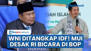 MUI Ultimatum Menlu Segera Bebaskan 9 WNI yang Ditangkap Israel: Buktikan Guna Indonesia Ikut BoP