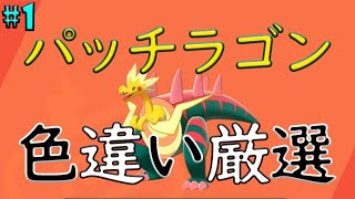【ポケモン剣盾】パッチラゴン色違いゲットするぞおおおおお！！Part.1【ソード・シールド】
