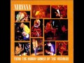 Nirvana - From The Muddy Banks Of The Wishkah ...